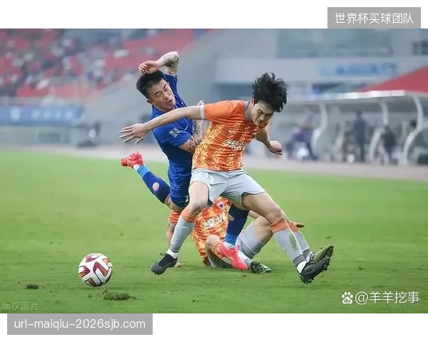 霍萨姆·哈桑打造的防守体系在非洲区预选赛中表现稳固，但世界杯将面临更严峻考验。